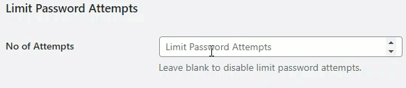 Limit Password Attempts