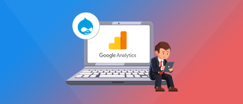 drupal google analytics panel page